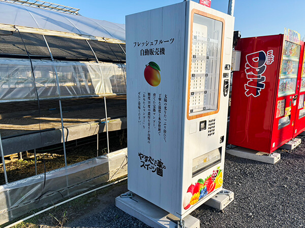 フレッシュフルーツ自動販売機完備